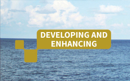 Developing and enhancing 